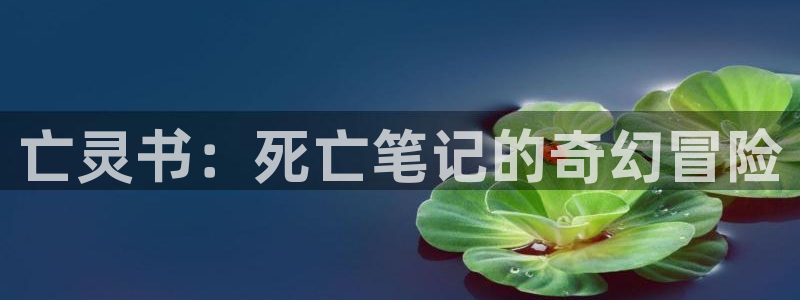 哈哩哈哩网页版入口：亡灵书：死亡笔记的奇幻冒险