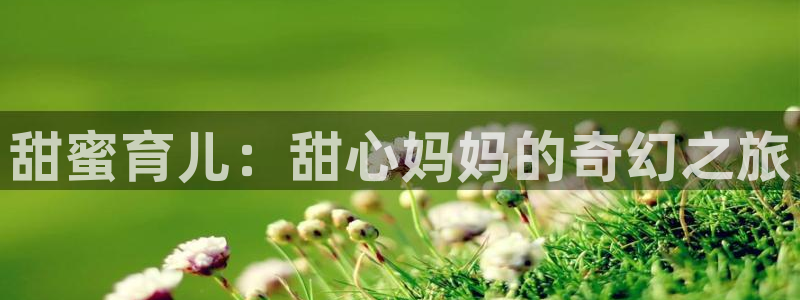 哈哩哈哩在线官网首页：甜蜜育儿：甜心妈妈的奇幻之旅