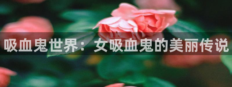 hailihaili哈哩哈哩官网：吸血鬼世界：女吸血鬼的美丽传说