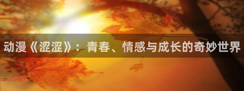 哈哩哈哩18