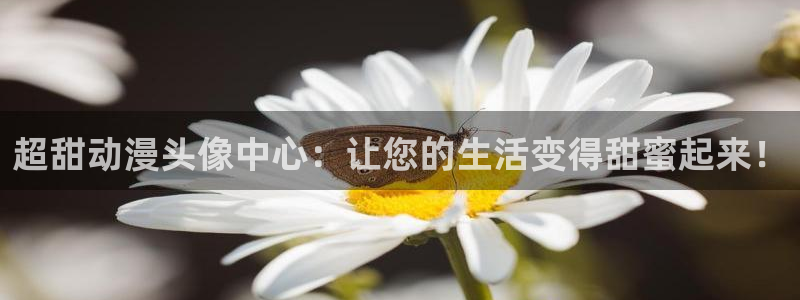 哈哩哈哩官网_halihali免费观看动漫