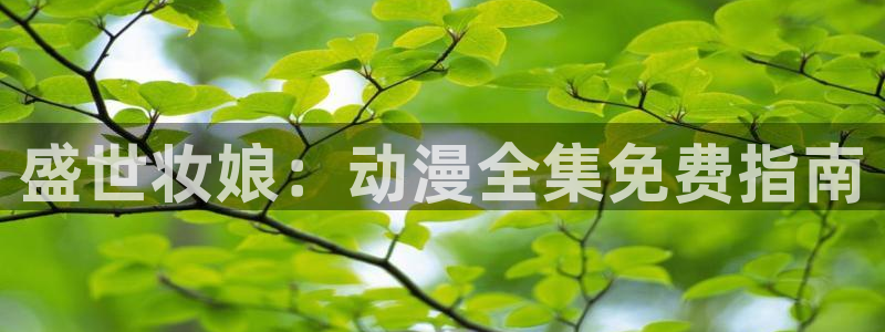 哈哩哈哩在线观看网站