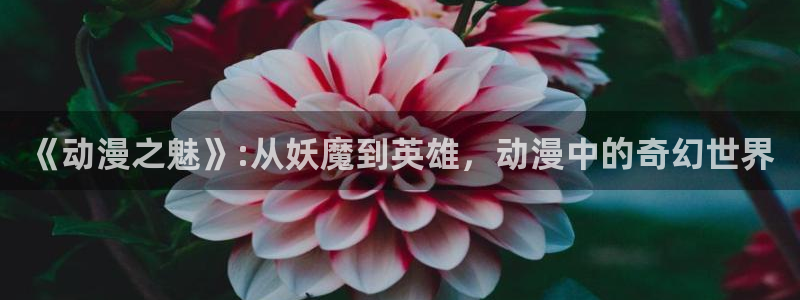 哈哩哈哩官网在线观看电视剧：《动漫之魅》:从妖魔到英雄，动漫中的奇幻世界